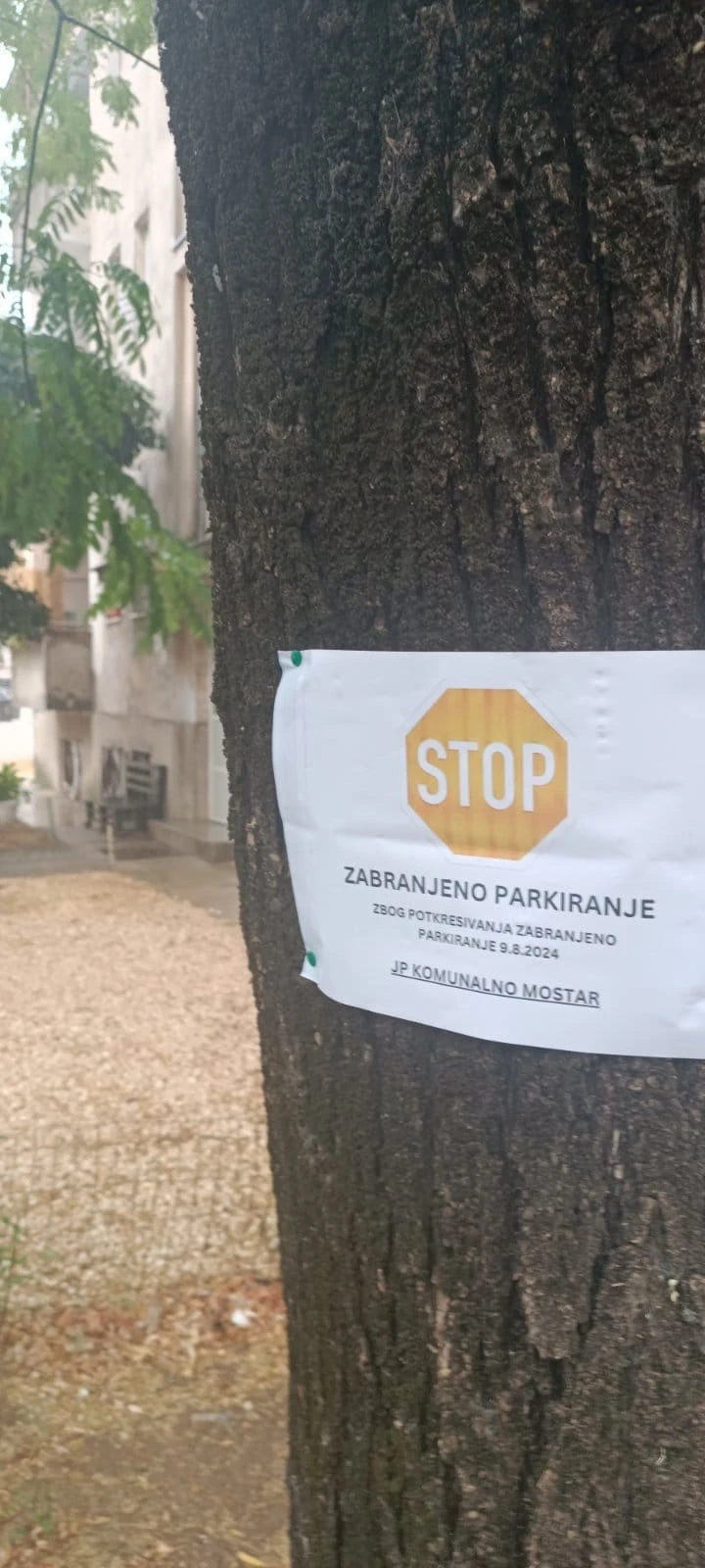 Ne parkirajte u dijelu Splitske ulice, JP Komunalno potkresuje stabla
