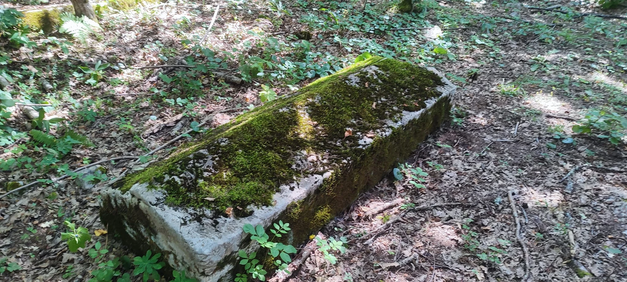 Veliko otkriće : Otkrivena dosad nepoznata nekropola, tu su pokopavane Kosače ili Pavlovići