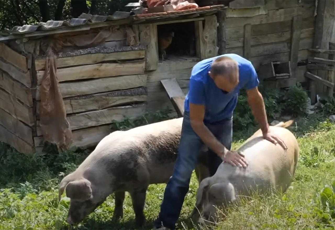 VIDEO | Ostavio grad i preselio se na selo - proizvodi sve i nikad ne ide u trgovinu