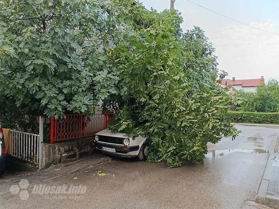 Mostar: Vjetar oborio granu 