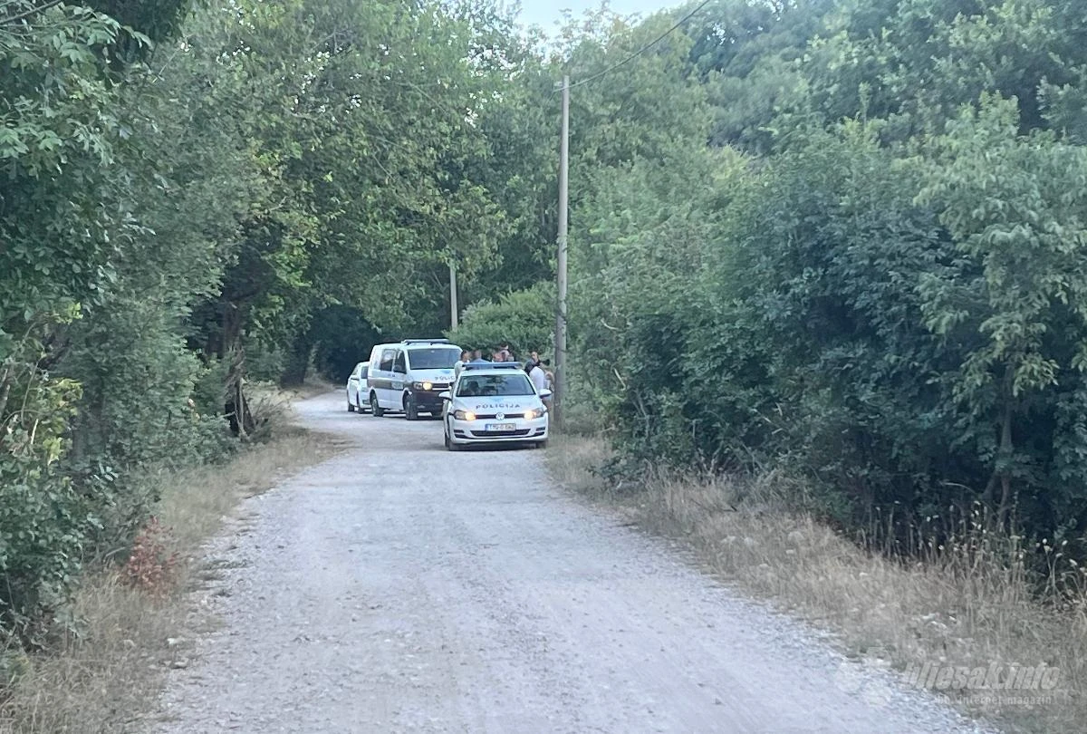 Pucnjava u Bučićima - Intervenirala policija