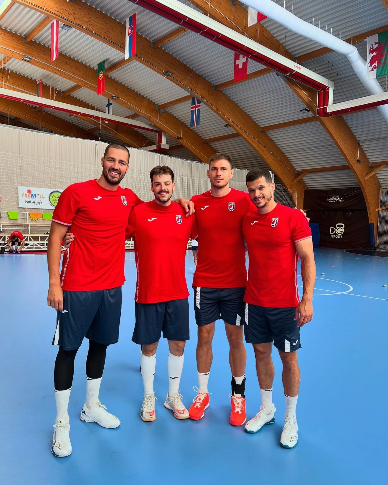 Sigurdsson: Mogu pripremiti Hrvatsku da bude na vrhunskoj razini