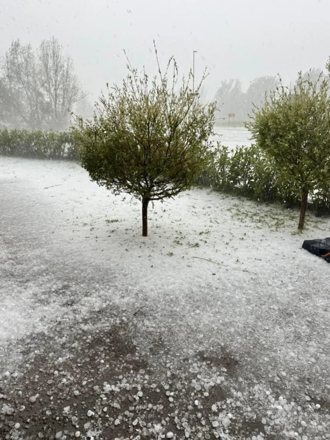 VIDEO | Oluja poharala Sloveniju i Italiju: Grad, klizišta, poplave 