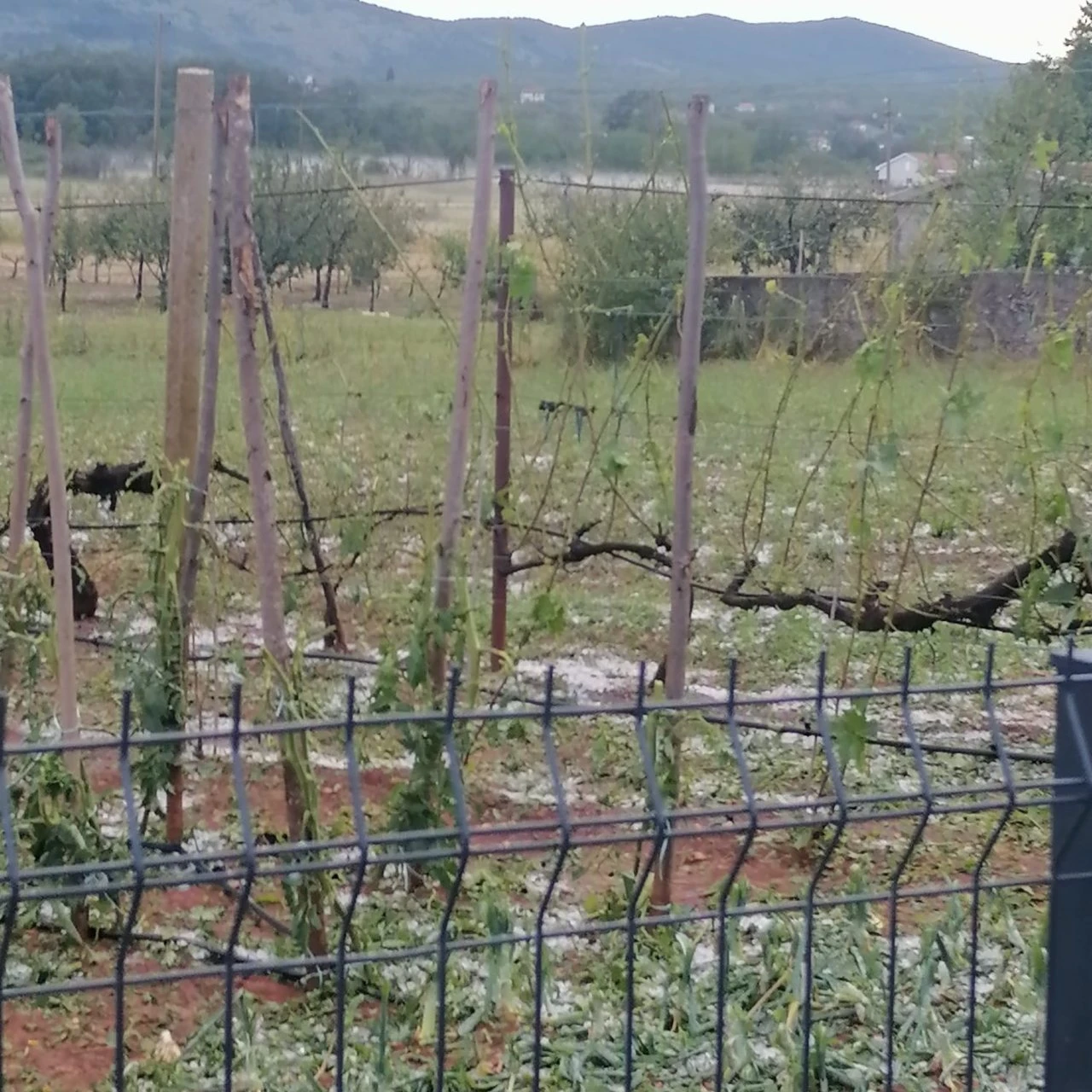 Proglašeno stanje prirodne nepogode na dijelu općine Grude