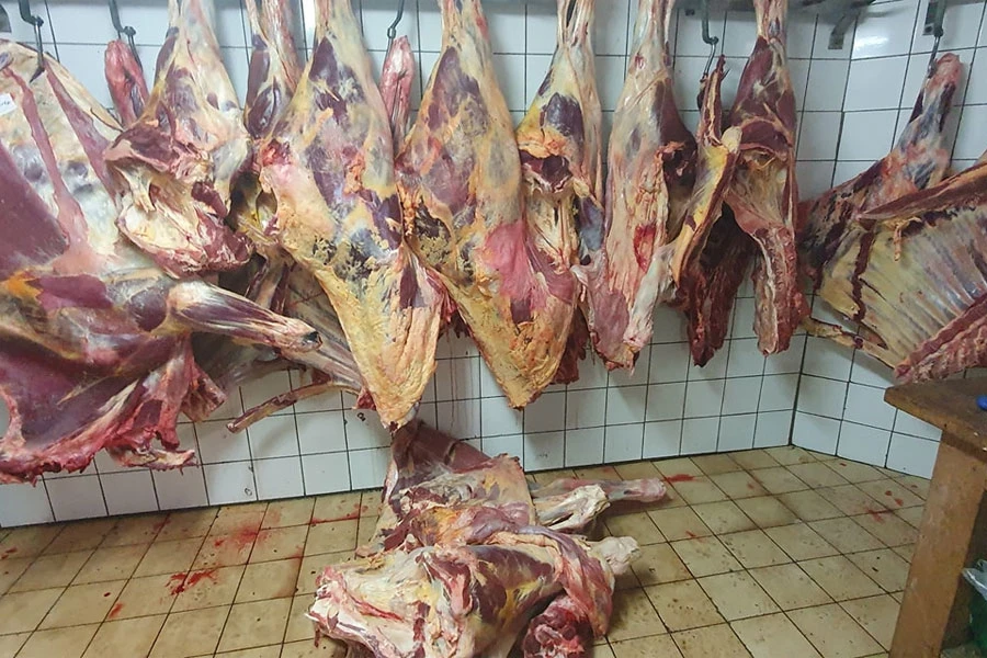Prvog dana Kurban-bajrama u Turskoj ozlijeđeno 16.000 mesara amatera