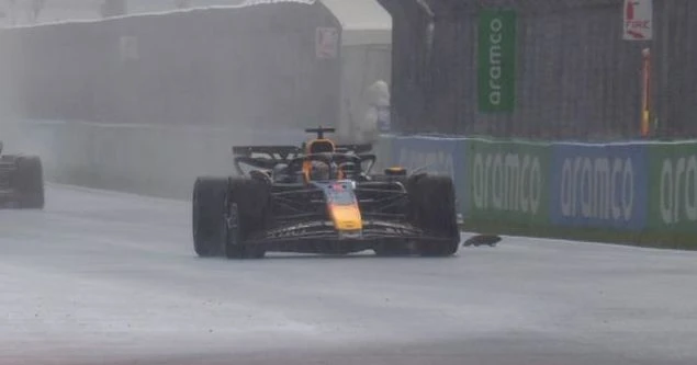 VIDEO I Verstappen: U posljednjem trenutku sam shvatio, to je neka životinja