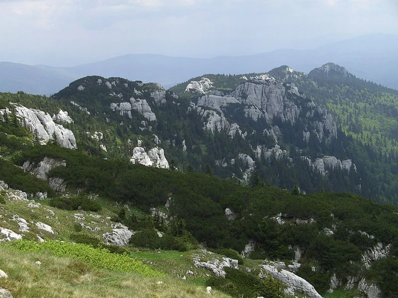 Pronađeno beživotno tijelo lovca iz Tomislavgrada, smrt nastupila nasilnim putem