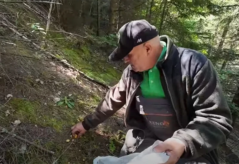 VIDEO | Beru šumske plodove pa od zarade putuju svijetom