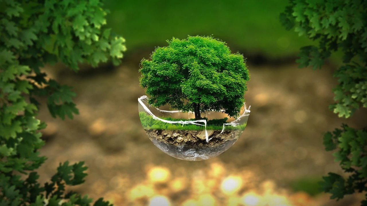 'Zelena tranzicija' preduvjet usporavanja negativnih klimatskih promjena