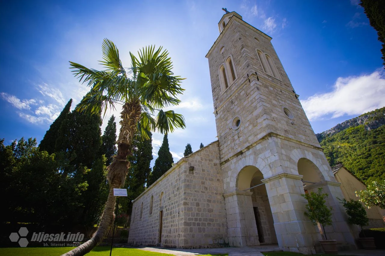 Mostar: Palma kao simbol života nikla iz ruševina
