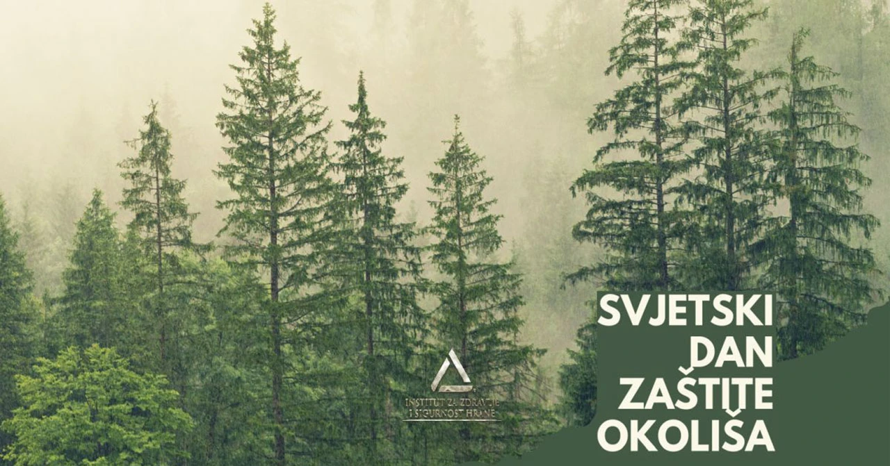 Danas je Svjetski dan zaštite okoliša: Naša zemlja, naša budućnost