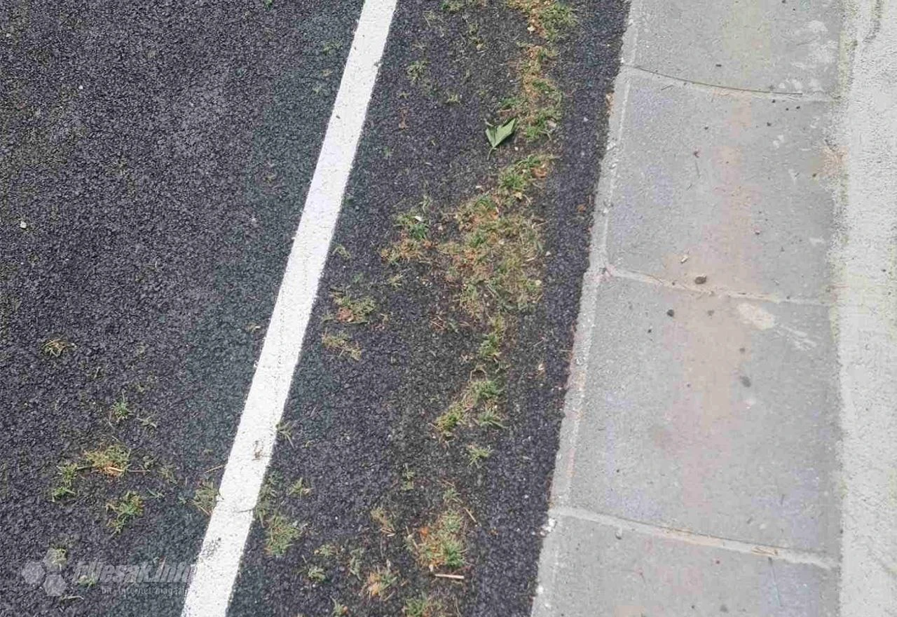 Moje zastave uvijek su iste boje