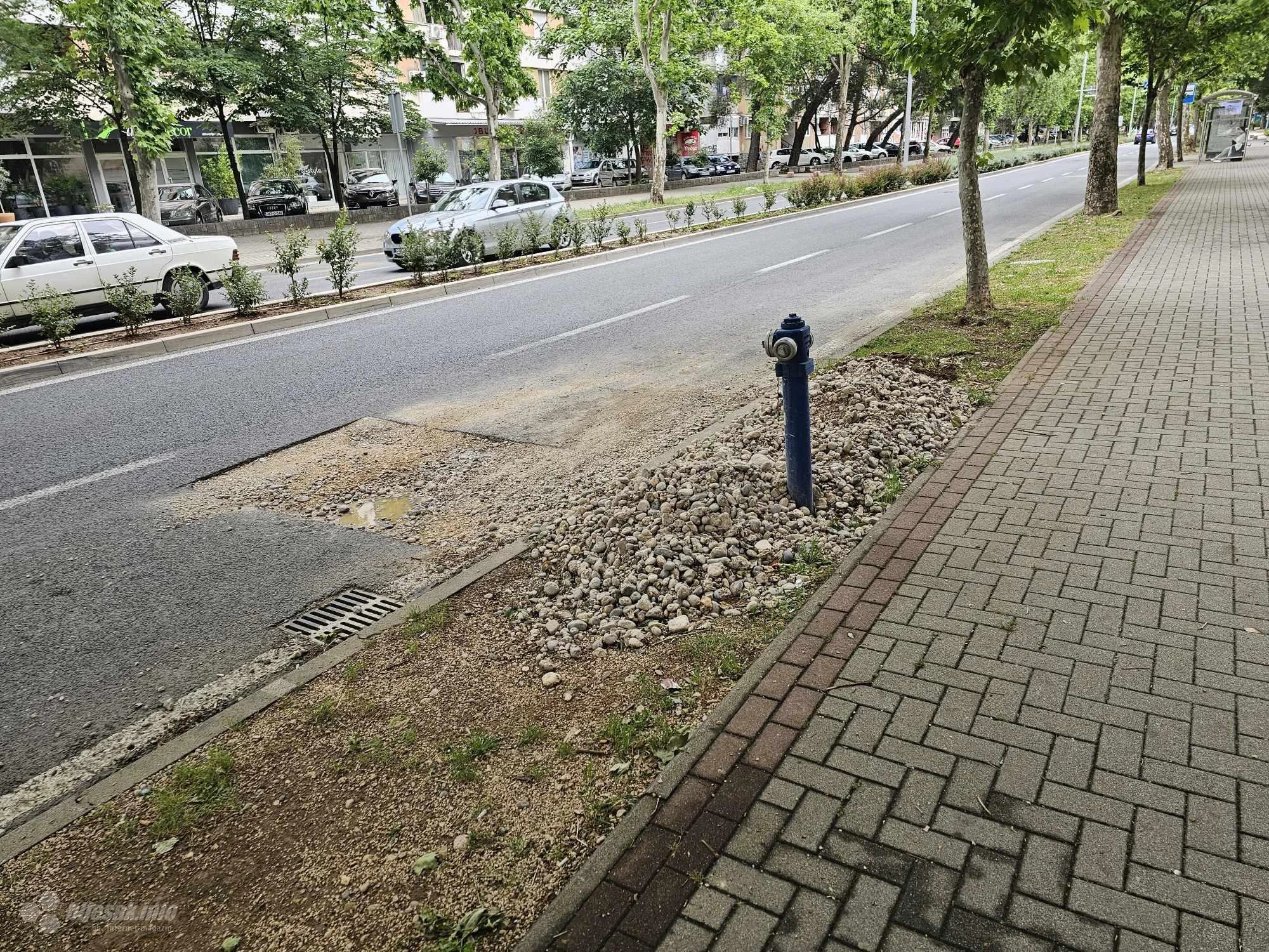 Planira li netko zakrpiti Aveniju?