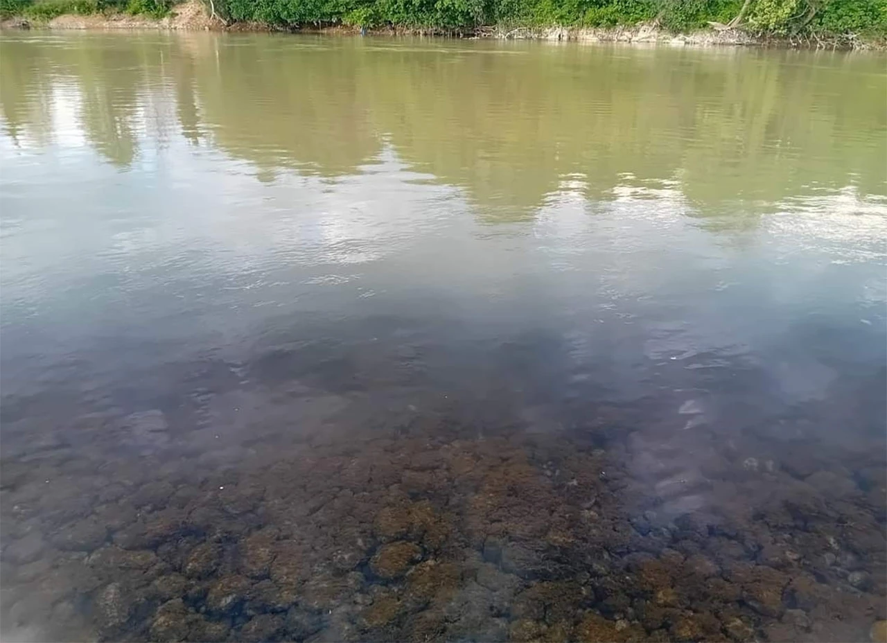 Neretva ponovno poprište ekološke katastrofe, reagirali i ribari
