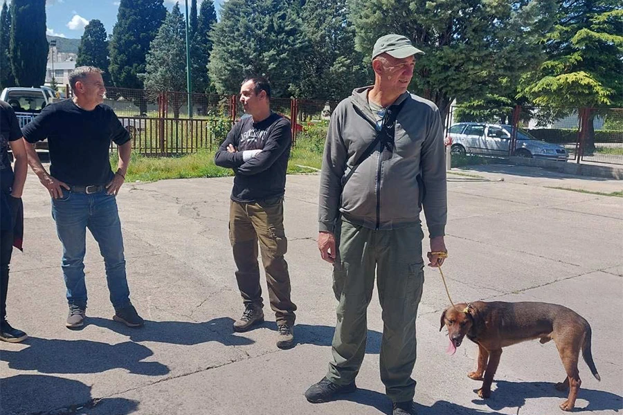 Odlučeno: Mostarski lovci posjeduju dobre, kvalitetne i njegovane lovačke pse