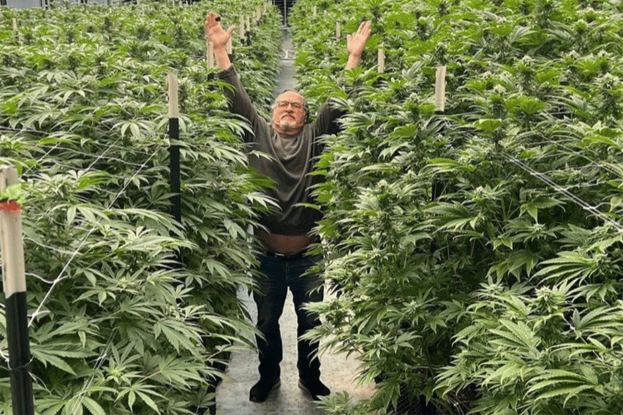 Obećana zemlja legalizirala posjedovanje malih količina kanabisa