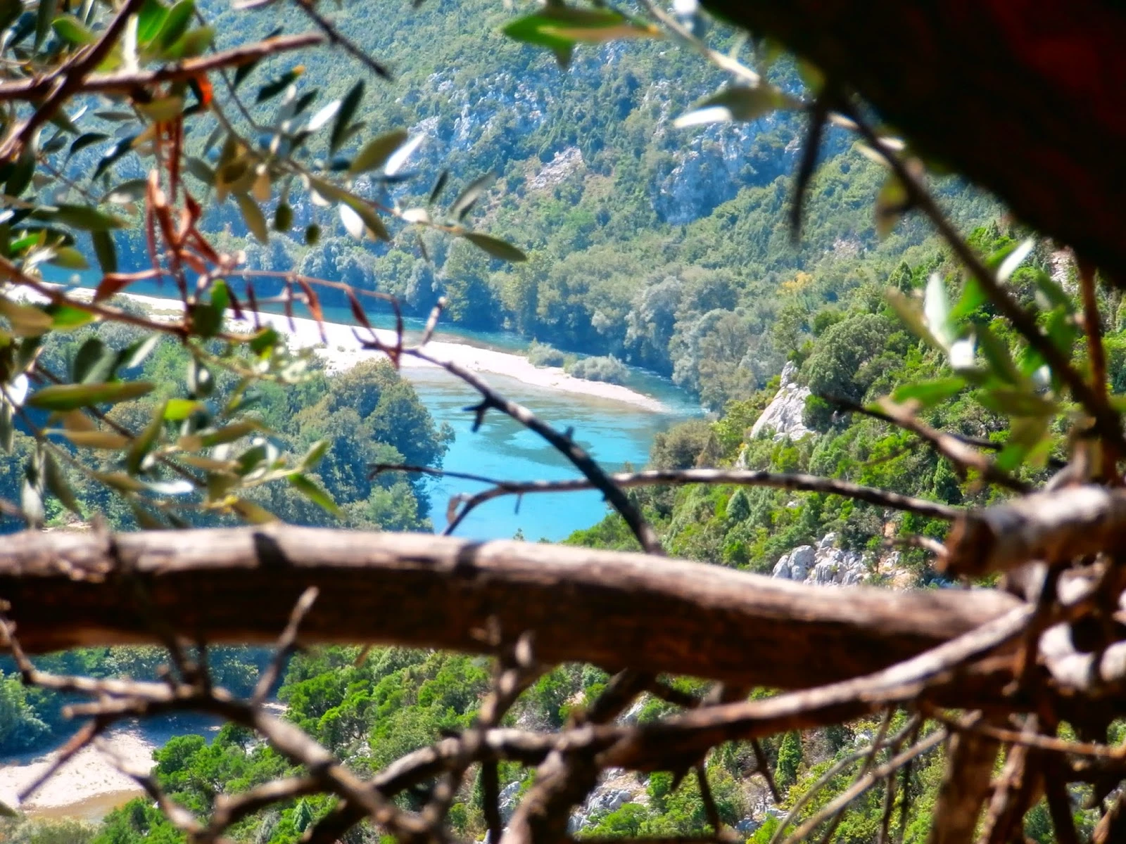 Čudesno otkriće u Hercegovini - rijetke divlje masline, daorska akropola, tajni prolazi... 