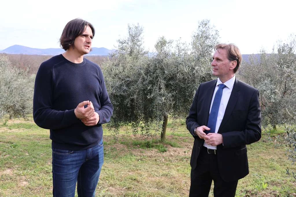 Federalni ministar posjetio maslinare iz Hercegovine
