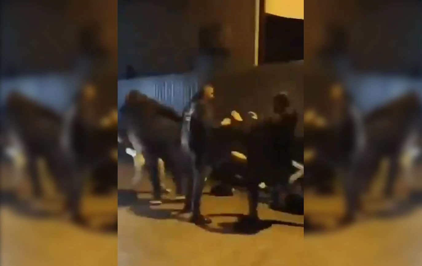 VIDEO| ''Pokušaj ubojstva'' u Gabela Polju - druga strana priče
