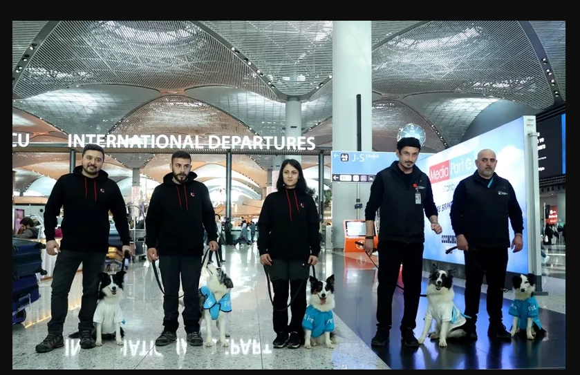 U zračnoj luci u Istanbulu nervozne putnike prije leta umiruju terapijski psi