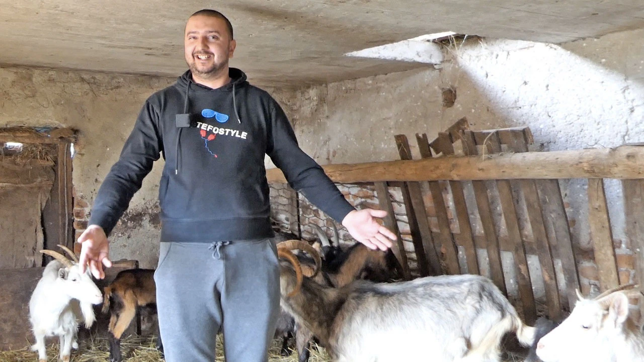 VIDEO Hasan i supruga rade u istoj firmi i nakon posla se posveti kozama