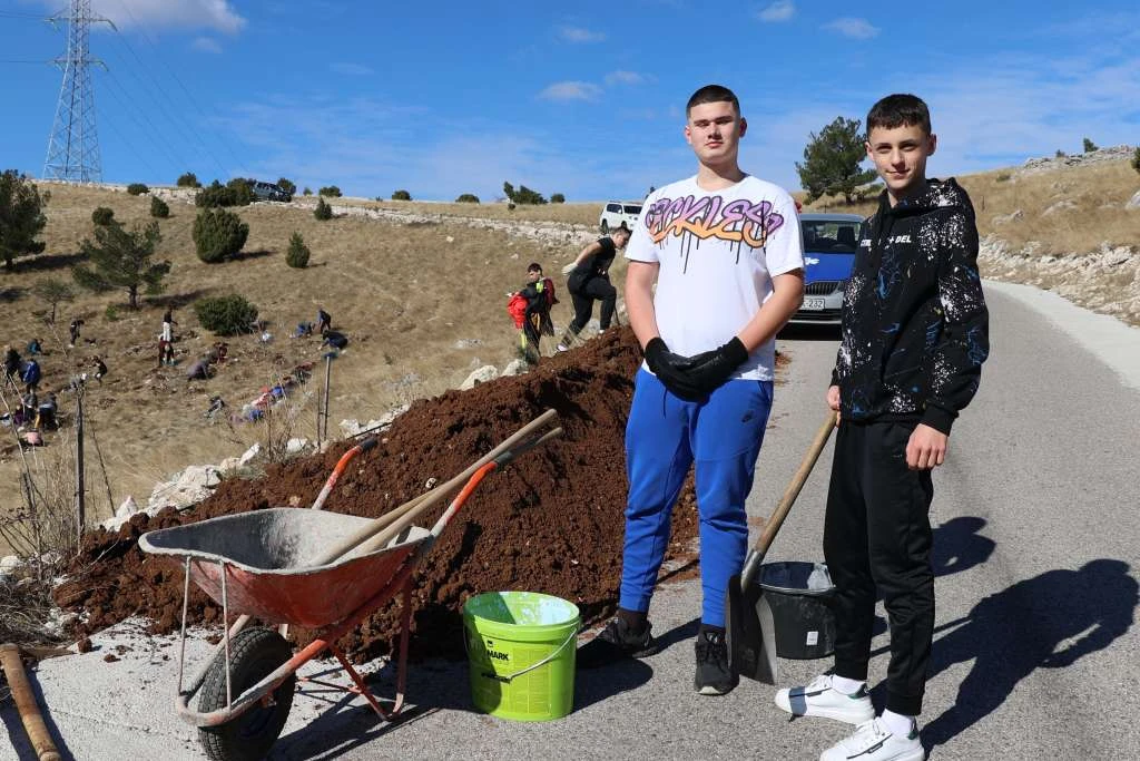 VIDEO | Mostarski učenici posadili tisuću sadnica crnog bora na Fortici 