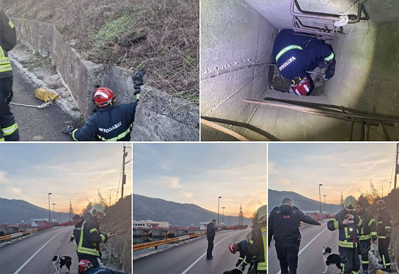 Mostarski vatrogasci spasili psa od sigurne smrti