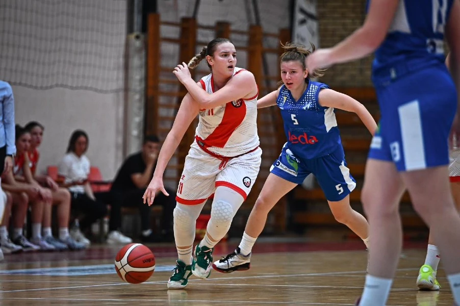 Triple-double Ane Leko u uvjerljivoj pobjedi Zrinjskog 2010