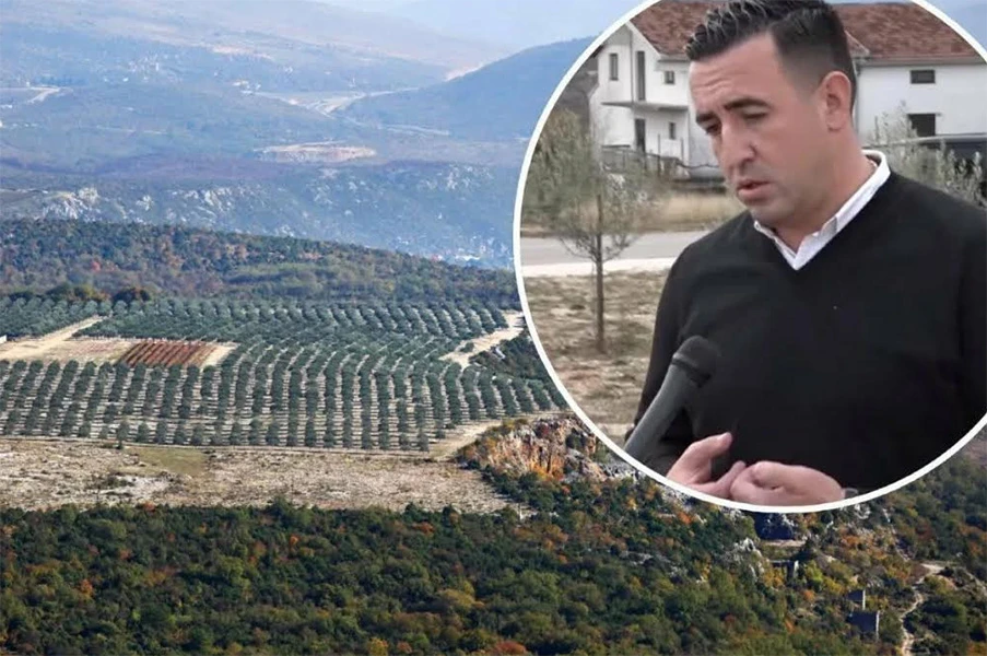 VIDEO | Od Hercegovine do Njemačke i natrag: Srce i tisuću maslina u Radišićima