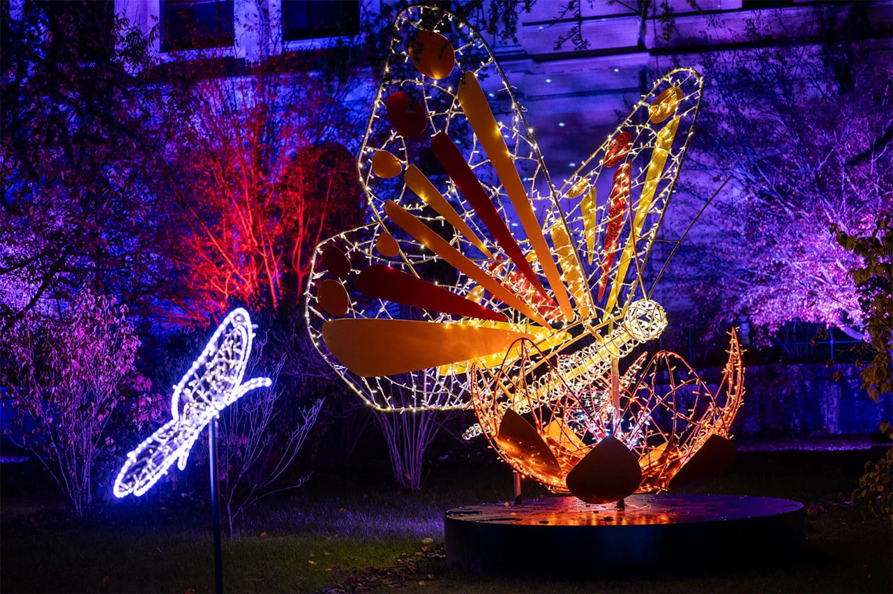 Art&Light Festival u Sarajevu - spajanje umjetnosti i svjetlosti