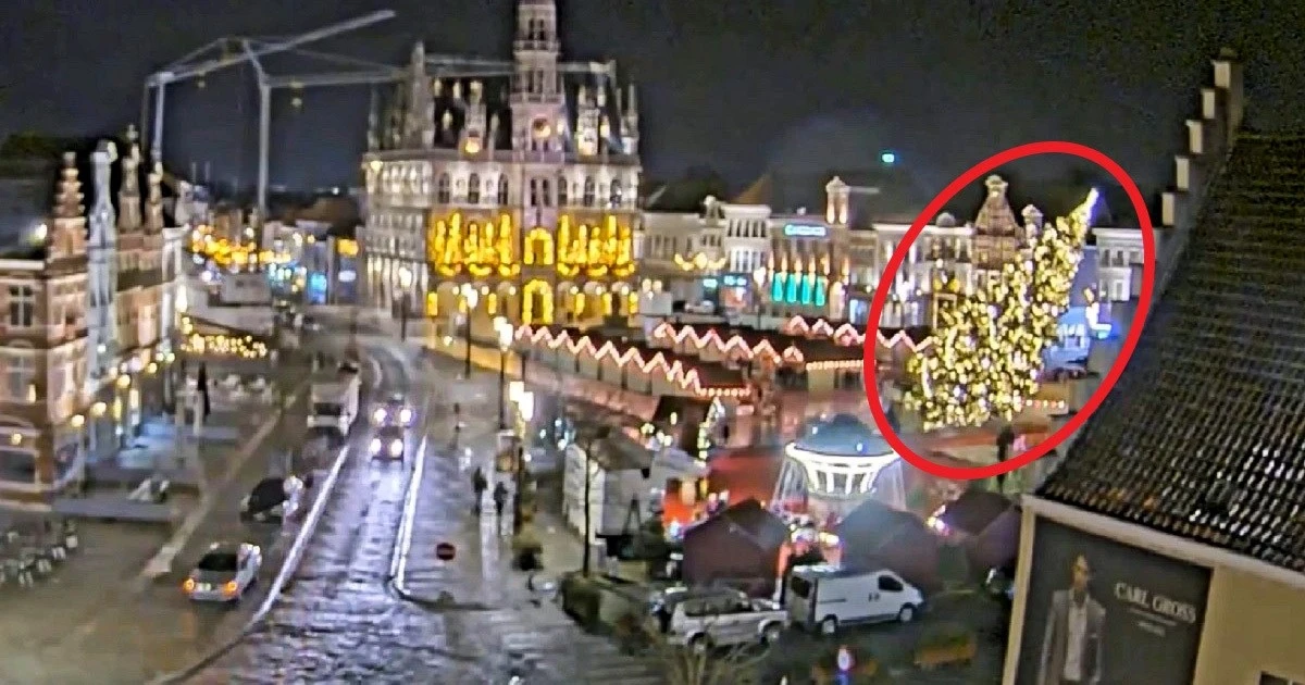 Belgija: Žena poginula nakon što je na nju pao 20 metara visok bor na sajmu