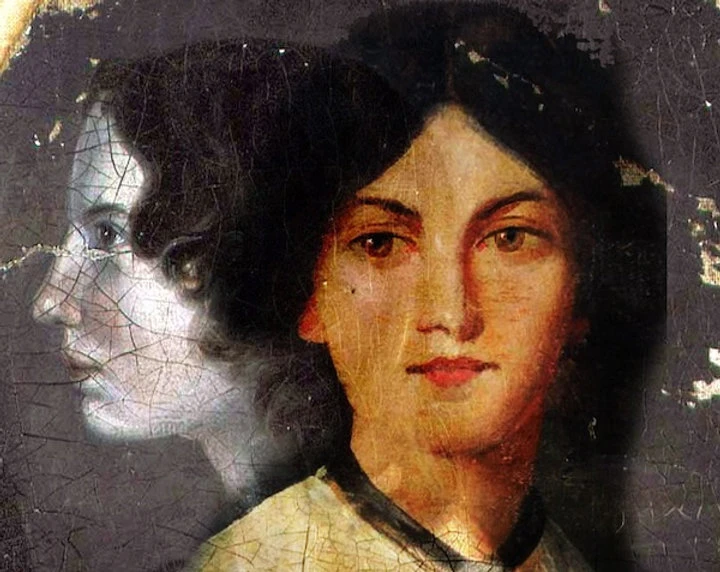Napisala je samo roman "Orkanski visovi" i njime dostigla vrhunac književnosti