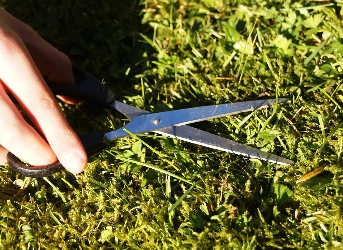 Osuđen jer nije kosio travu u svojem dvorištu