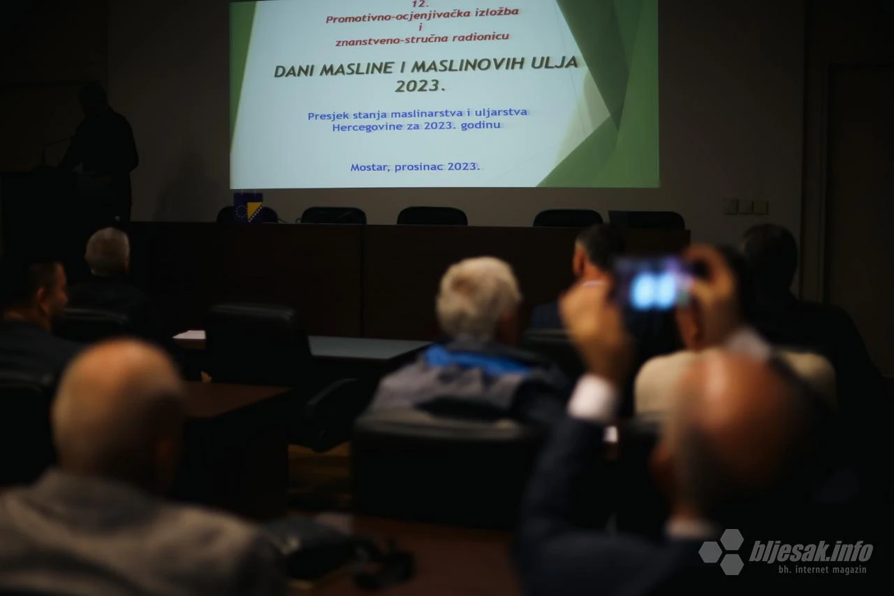 Preskočili dječje bolesti: Po kvaliteti maslinovog ulja sigurno smo među liderima