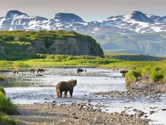 Globalno zatopljenje i novi klimatski rekordi