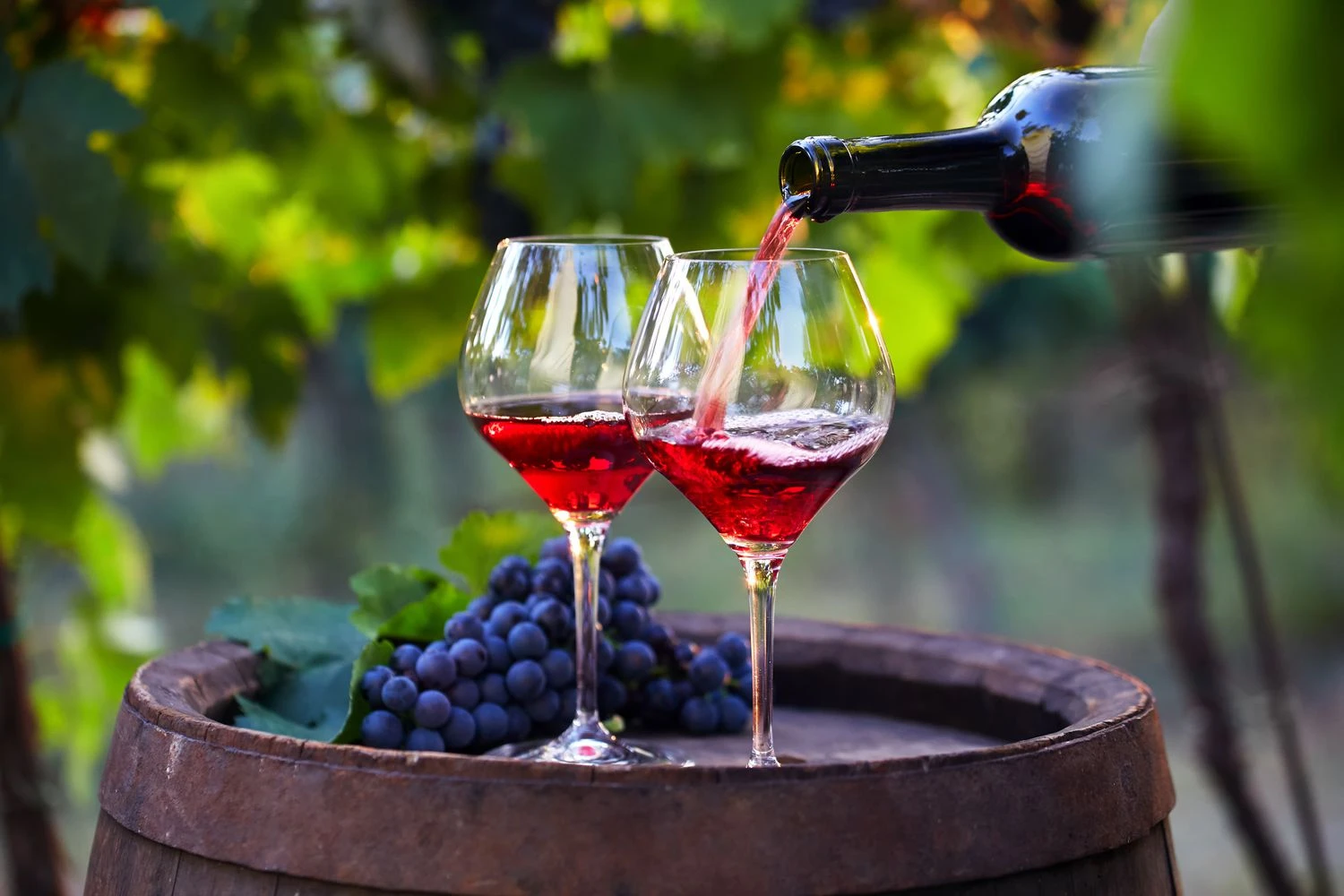 Francuska se vraća na prvo mjesto među proizvođačima vina