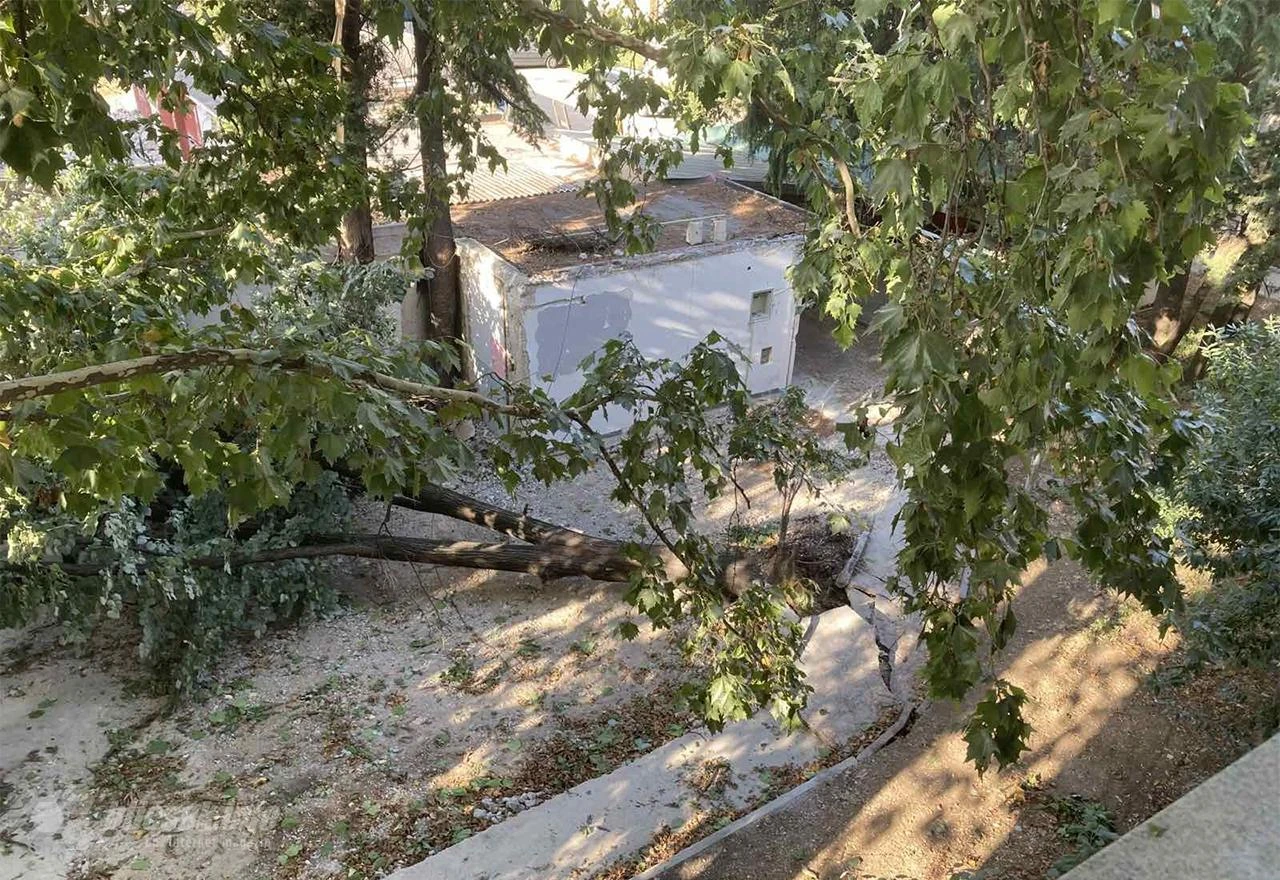 Vozači, oprez! Na cestama odroni i polomljeno granje