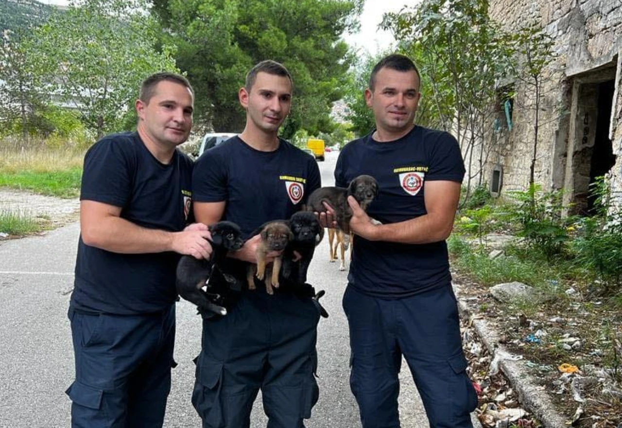 Mostarski vatrogasci spasili četiri psića 