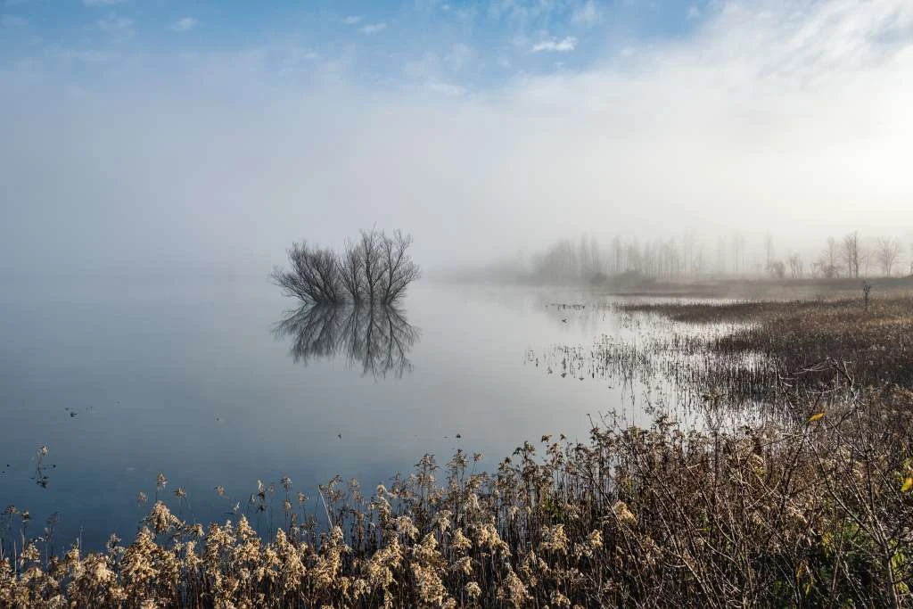 ''Samonikle biljke i gljive kraških polja'' najljepša fotografija kraških polja u BiH