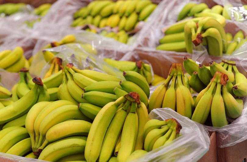 7.7 tona kokaina u kamionu s bananama