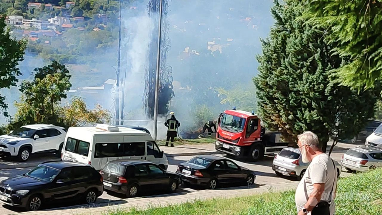Požar u krugu mostarske bolnice - Planulo stablo