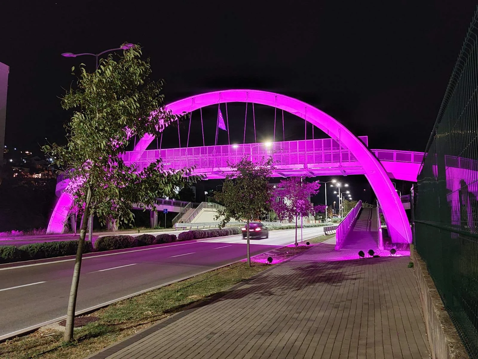 Pasarela u Zaliku u rozom