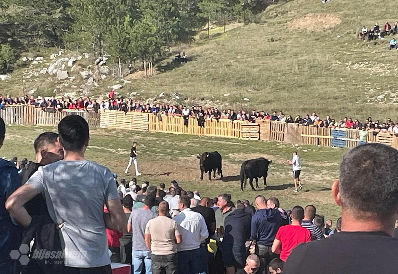 Kobra i Medonja, Crni i Ždralonja... Napete borbe na današnjoj koridi u Rakitnu