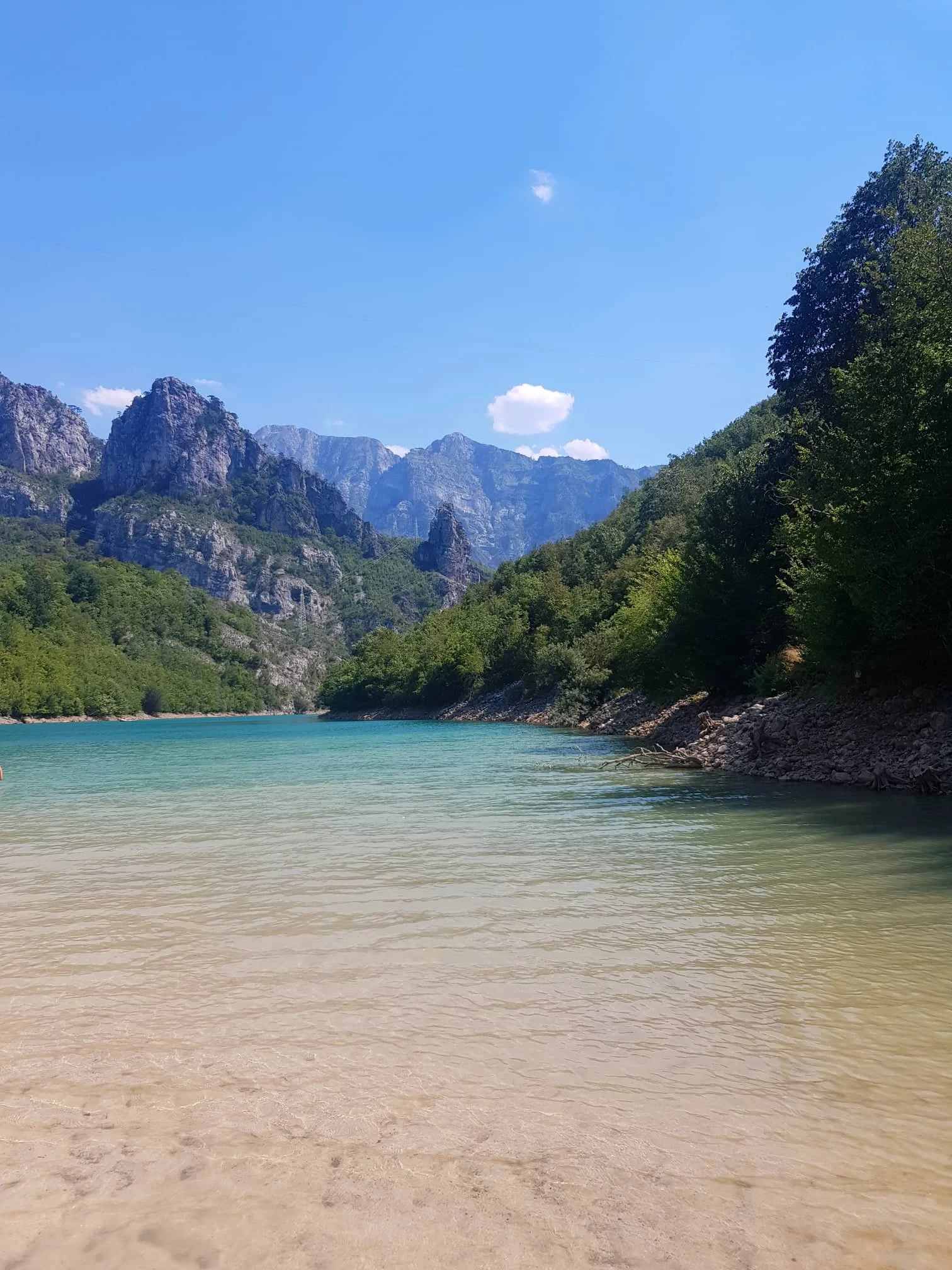 Divna Diva Grabovica 