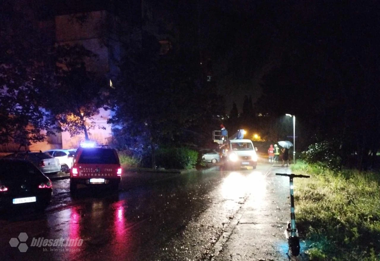 Vatrogasci i radnici Parkova u akciji: Stablo 'zarobilo' automobile 