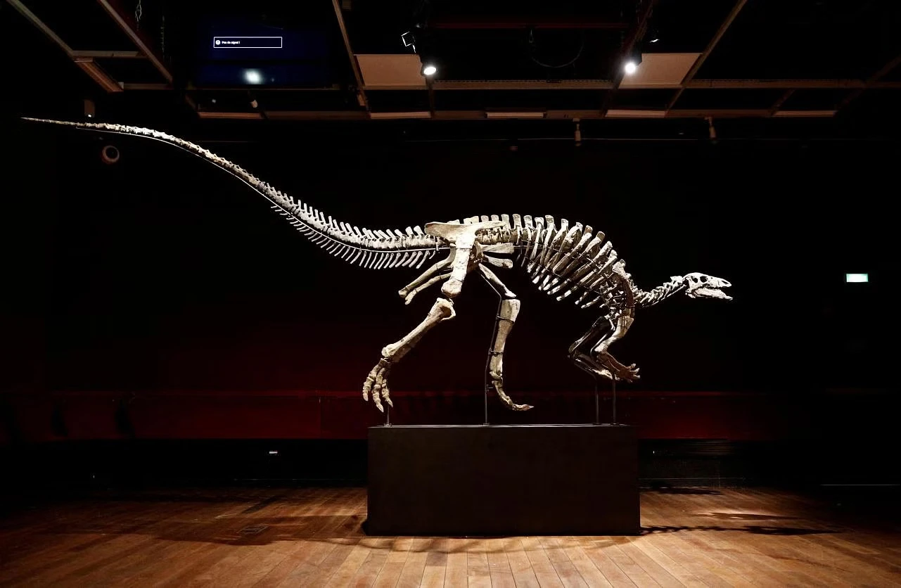 Dobro očuvan kostur dinosaura  mogao bi biti prodan za 1,2 milijun eura