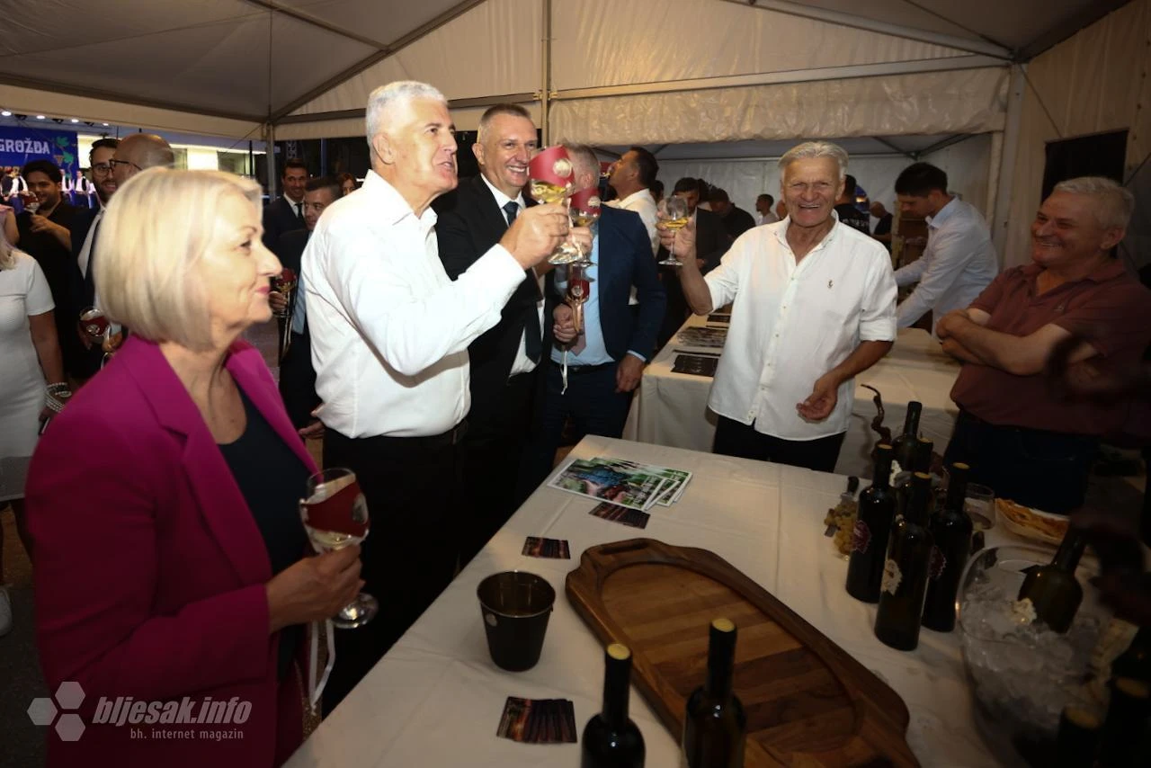 FOTO/VIDEO | Ovako piju Čović i Krišto