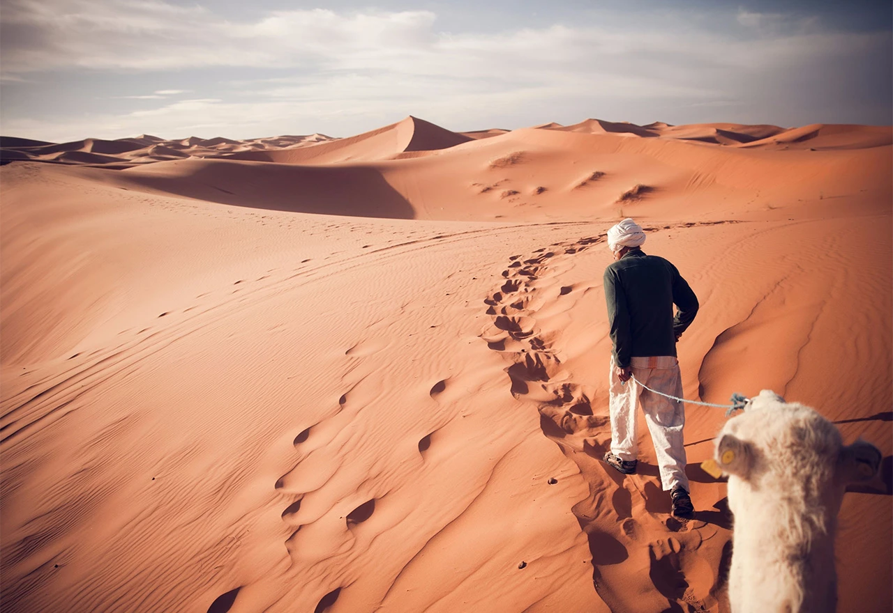 Znate li zašto je i kada Sahara bila zelena?