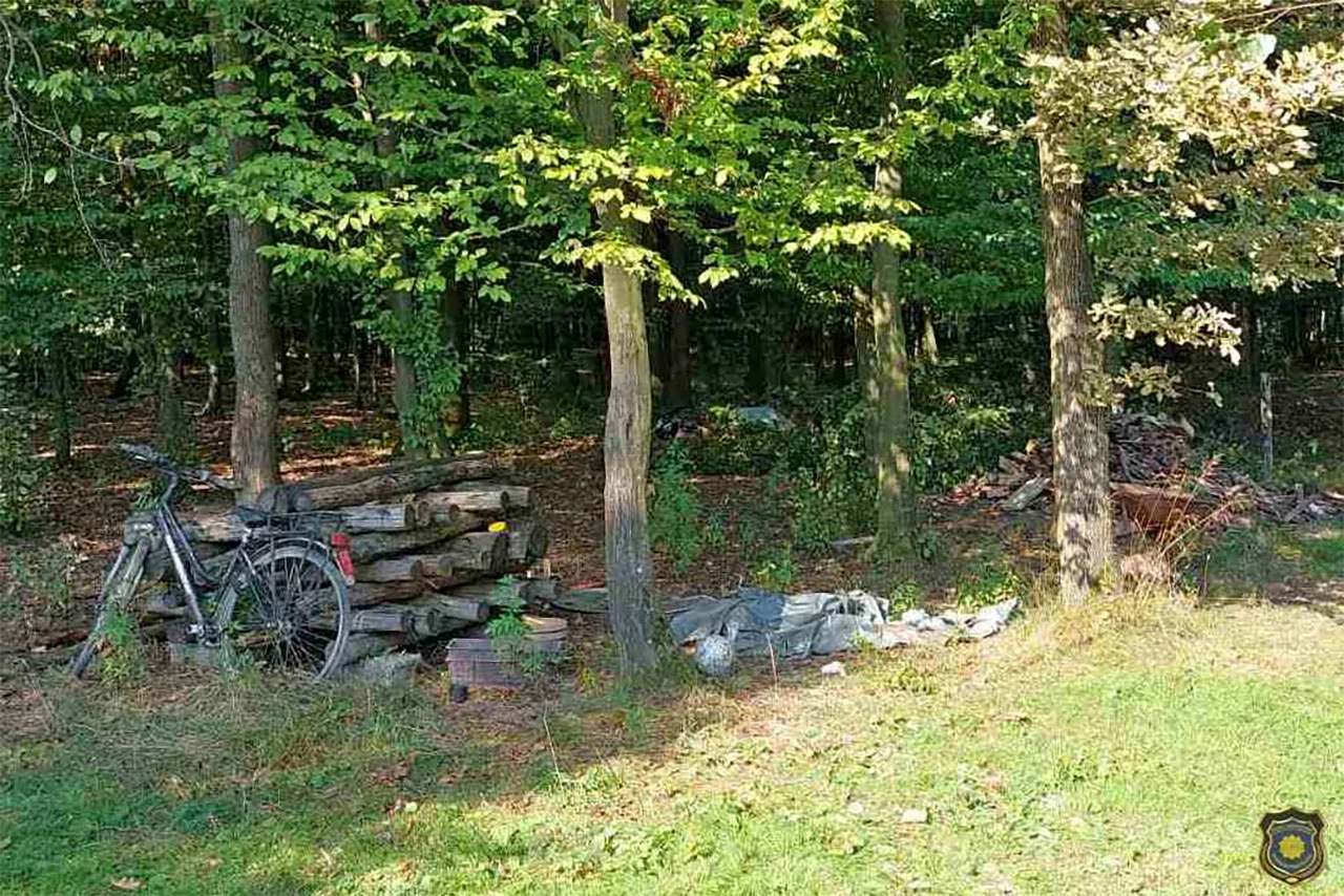 Droga u šumi - FUP objavio detalje uhićenja policajca iz Živinica
