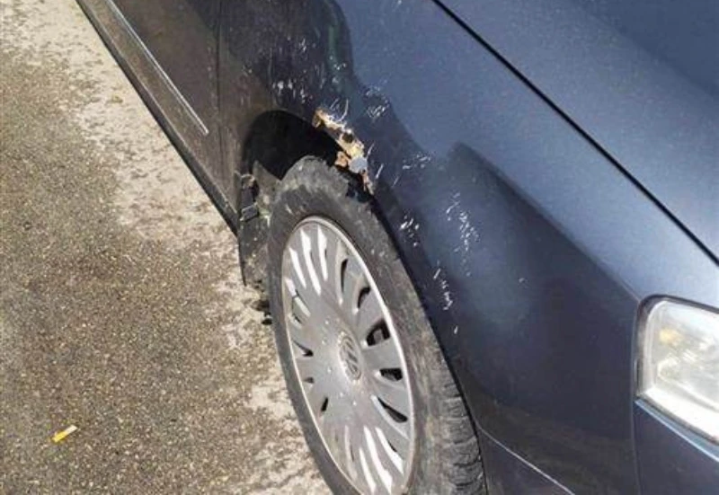 FOTO | Pas izgrizao auto